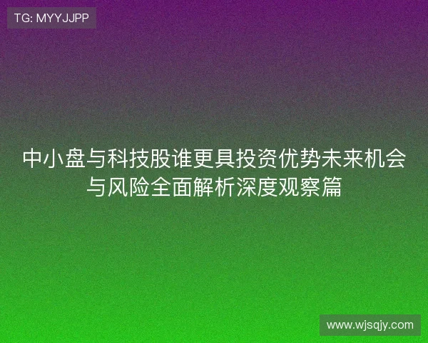 中小盘与科技股谁更具投资优势未来机会与风险全面解析深度观察篇