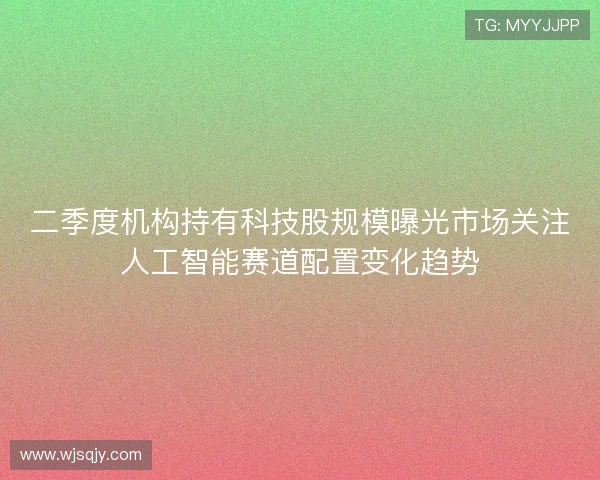 二季度机构持有科技股规模曝光市场关注人工智能赛道配置变化趋势 二季度机构持有科技股规模曝光市场关注人工智能赛道配置变化趋势